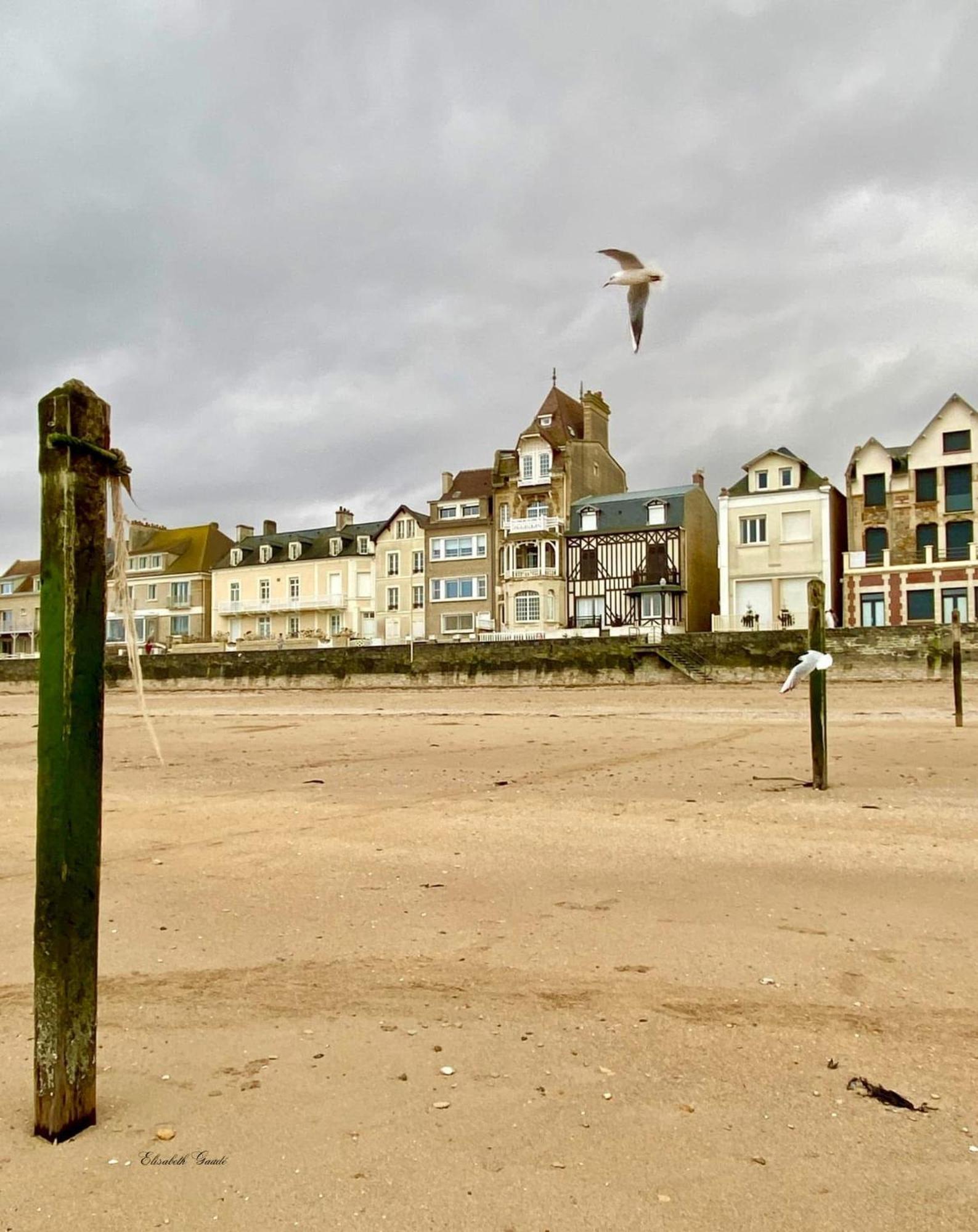 Saint-Aubin-Sur-Mer: Bel Appartement Traversant Bagian luar foto
